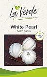 White Pearl Kürbissamen foto / 3,25 €