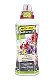 ALGOFLASH NATURASOL Engrais Liquide Géraniums & Plantes Fleuries, 1 L, UAB, ALBIOGER1 photo / 17,25 € (17,25 € / l)