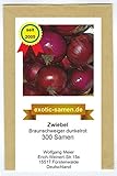 Zwiebel - Braunschweiger, dunkelrot (300 Samen) foto / 1,80 €