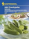 Gurkensamen - Salatgurke Salamanda von Kiepenkerl foto / 3,95 €