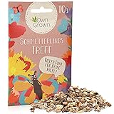 Schmetterlingstreff Blumenmischung: 10g Premium Schmetterling Blumensamen Saatgut - Insektenfreundliches Bienenweide Saatgut, Blumenwiese Samen mehrjährig und einjährig - Wildblumensamen von OwnGrown foto / 2,36 € (236,00 € / kg)