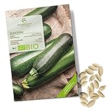 BIO Zucchini Samen (Nero di Milano) - Zucchini Saatgut aus biologischem Anbau ideal für die Anzucht im Garten, Balkon oder Terrasse foto / 4,90 €