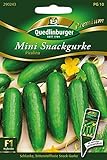 Mini Snackgurke, Picolino F1 foto / 4,31 € (0,54 € / stück)