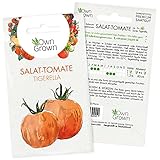 Tomatensamen Gestreifte Salattomate Tigerella: Premium Tomaten Samen zum einfachen Anbau von Tomatenpflanzen, Alte Tomatensorten Samen Tigerella für Balkon und Garten – 5 Gemüse Samen von OwnGrown foto / 3,95 € (0,79 € / stück)