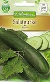 Chrestensen Salatgurke 'Tanja' foto / 2,99 € (2,99 € / l)