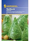 Kiepenkerl Weißkohl Filderkraut foto / 2,19 €