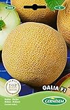 Germisem Melone GALIA F1, mehrfarbig, EC5004 foto / 3,68 €