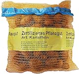 Samenshop24® Pflanzkartoffeln Sorte: Linda, Inhalt: 5kg (ca. 70 Stück), Premium Saatkartoffeln, Zertifiziertes Pflanzgut, das Original vom Fachmann foto / 22,95 € (4,59 € / kg)