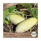 Samenliebe BIO Gurken Samen Halblange Weiße Salatgurke weiß 10 Samen samenfestes Gemüse Saatgut für Gewächshaus Freiland und Balkon BIO Gemüsesamen foto / 3,39 €