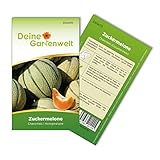 Zuckermelonen Charentais Samen - Cucumis melo - Melonensamen - Obstsamen - Saatgut für 15 Pflanzen foto / 1,99 € (0,13 € / stück)