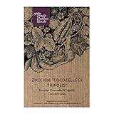 Zucchini 'Cocozelle di Tripolis' (Cucurbita pepo) 5 Samen Zucchetti foto / 3,25 €