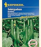 Kiepenkerl Salatgurken 'Dominica',1 Portion foto / 4,49 €