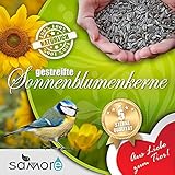 samore Sonnenblumenkerne gestreift erstklassige Qualität Wildvogelfutter foto / 38,56 € (1,54 € / kg)