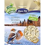 Lyra Pet®25 kg Sonnenblumenkerne geschält Bruch HK Bulgarien Wildvogelfuttter Vögel Vogelfutter foto / 53,19 € (2,13 € / kg)