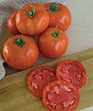 Burpee 'Super Beefsteak' | Red Beefsteak Slicing Tomato | 175 Seeds photo / $6.62