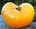 foto 50 semillas de tomate huerto, granja plantación semillas de hortalizas carne de naranja llena de naranja semillas raras esenciales