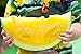 foto Gelb Wassermelone JANOSIK Samen - Wassermelone