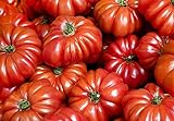 30+ Costoluto Genovese Pomodoro Tomato Seeds, Heirloom Non-GMO, Low Acid, Indeterminate, Open-Pollinated, Productive, from USA photo / $2.65