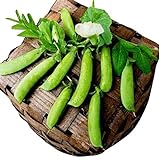 50 Sugar Ann Snap Pea Heirloom Seeds - Non GMO - Neonicotinoid-Free photo / $8.99 ($0.18 / Count)