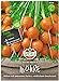foto Sperli Premium Möhren Samen Pariser Markt 5 ; kugelförmige Karotte ; runde Karotten Samen