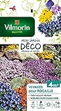 Vilmorin 5860943 Pack de Graines Fleur Vivace pour Rocaille photo / 7,16 €