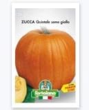 Sementi orticole di qualità l'ortolano in busta termosaldata (160 varietà) (ZUCCA QUINTALE SEME GIALLO) foto / 