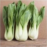 Pacchetto di 300 semi, Pak Choi bianco Stem Semenza di cavolo (Brassica rapa) foto / EUR 10,99