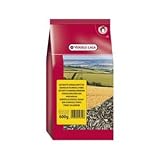 Versele Laga Girasole piccolo striato - 600 gr foto / EUR 1,90