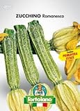 Sementi orticole di qualità l'ortolano in busta termosaldata (160 varietà) (ZUCCHINO ROMANESCO) foto / 