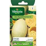 Vilmorin - Bustina semi Zucca Spaghetti foto / EUR 3,95