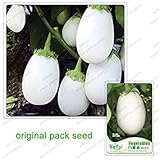 20 Semi / pack, melanzana, melanzana bianca, melanzane bio orto balcone in vaso bonsai foto / EUR 10,99