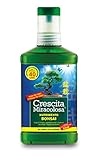 Crescita Miracolosa C012501 Nutrimento Bonsai, 200 ml, Verde, 7.5x3.5x18 cm foto / EUR 5,90