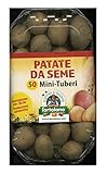 PATATE DA SEMINA VARIETA' DIVAA IN CONFEZIONE DA 50 MINI TUBERI foto / EUR 12,50