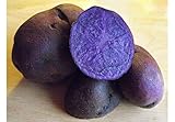 Portal Cool Patate viola Majesty Semi sementi biologiche Patate Ucraina 0,01 G foto / EUR 9,99