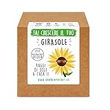 Garden Pocket - Fai crescere il tuo GIRASOLE - Kit di germinazione foto / EUR 14,90