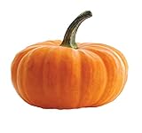 Semi di zucca giganti - Cucurbita maxima foto / EUR 4,16