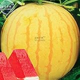 Visa Store 2018 Vendita Calda Davitu Heirloom Yellow Skin Red Semi di Anguria senza semi, Confezione professionale, 5 Semi, 13% Zucchero Dolce Succoso E3412 foto / 