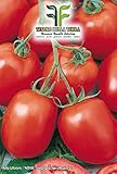 900 C.ca Semi Pomodoro Davis UC 82 - Lycopersicum Esculenthum In Confezione Originale Prodotto in Italia - Pomodori foto / EUR 7,40