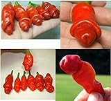 Piante da giardino Peter Pepper Seeds peperoncino 50 semi / pacchetto rosso caldo foto / EUR 3,29