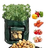 Scoolr, confezione da 2 borse per la coltivazione di patate, da 26,5 litri, borsa con finestra di areazione apribile per coltivare ortaggi come patate, carote, cipolle, pomodori, 33 cm x 35 cm foto / EUR 14,44