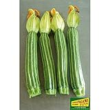 ZUCCHINO ROMANESCO NR.40 SEMI foto / EUR 2,00