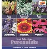 De Ree Misto Lupinoi & Blu Echinacea Gaillardia Gipsofila Fiori e Piante da Giardino 500 Semi P foto / EUR 2,39