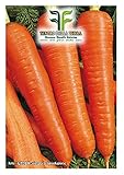 4500 C.ca Semi Carota Berlicum 2 - Daucus Carota In Confezione Originale Prodotto in Italia - Carote foto / EUR 7,40