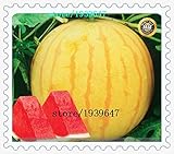 AGROBITS HEIRLOOM39; Huang Pi QIU39; Giallo Pelle Rossa Senza Semi Semi di Semi di Anguria, 20/Pack, 13% Sugar Sweet Juicy: Mix foto / EUR 8,99