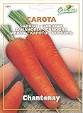 Hortus 19CAR0561 Maxi Busta Ortovivo Carota Chantenay, 12x0.2x16.5 cm foto / EUR 0,80