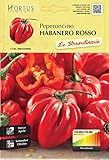 Hortus Le 08HAS0906 Le Straordinarie Habanero Red Peperoncino, 13x0.3x20 cm foto / EUR 2,80