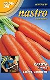 CAROTA NANTES IN NASTRO foto / EUR 2,22