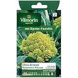 Vilmorin - Cavolo Broccolo Romanesco precoce foto / 