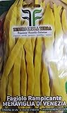 150 C.ca Semi Fagiolo Rampicante Giallo Meraviglia Di Venezia - Phaseolus Vulgaris In Confezione Originale Prodotto in Italia - Fagioli rampicanti gialli foto / EUR 7,40