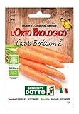 Sdd 11110126 Carota Berlicum 3 Seme, Multicolore foto / EUR 1,50